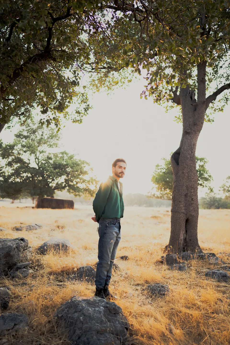 Man standing beneath a tree in warm golden light